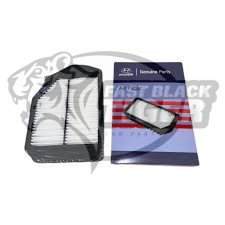 air filter 28113-B1000