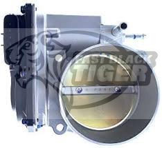 Throttle Chamber Assembly 2203038020