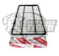 Air filter 17801-30060