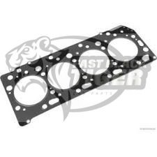 gasket cylinder head 1005B998