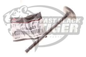 valve inlet 1010A443