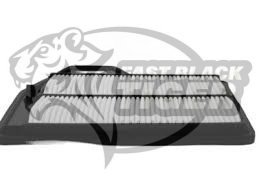 Air Filter 16546-3TA0A