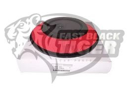 1654677A10 Air Filter