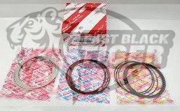 ring set piston 13011-31200
