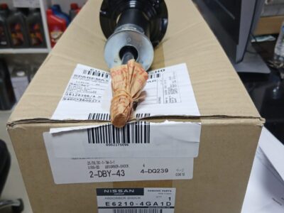 E6210-4GA1D Rear Shock Absorber Kit