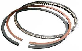 ring set piston 1110D480