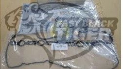 gasket kit eng overhaul 10101W580P