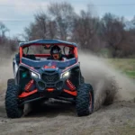 FAST BLACK TIGER